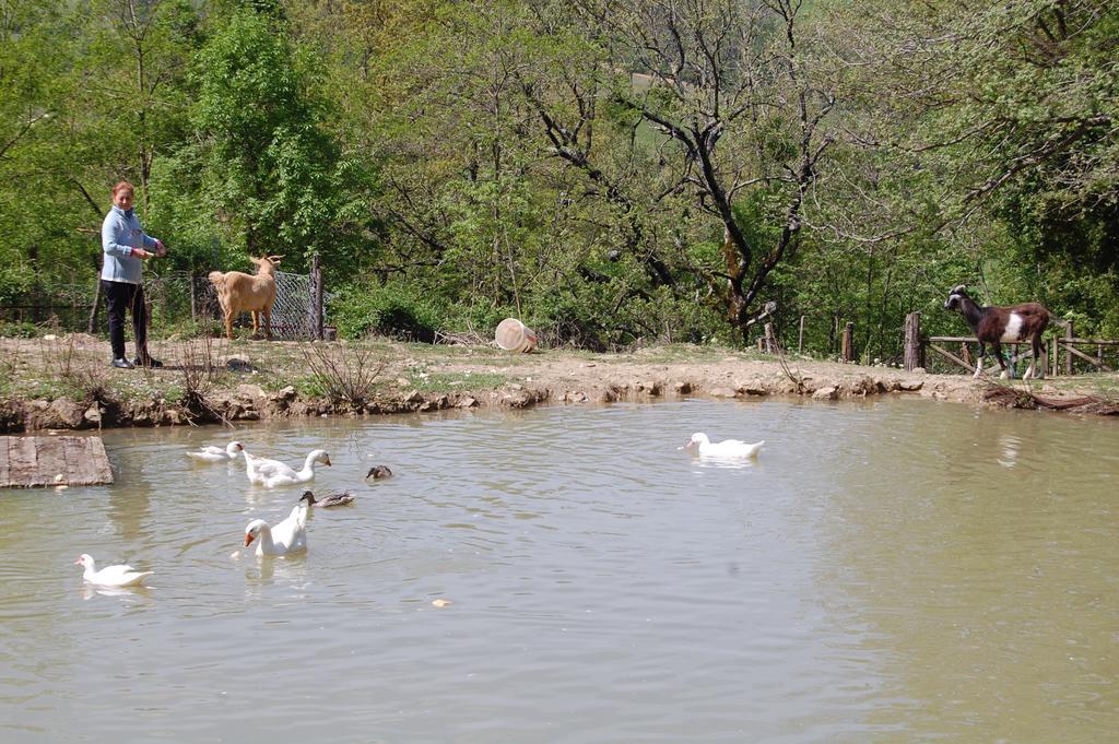Agriturismo Le Cerinaie Castelnuovo di Val di Cecina Zewnętrze zdjęcie