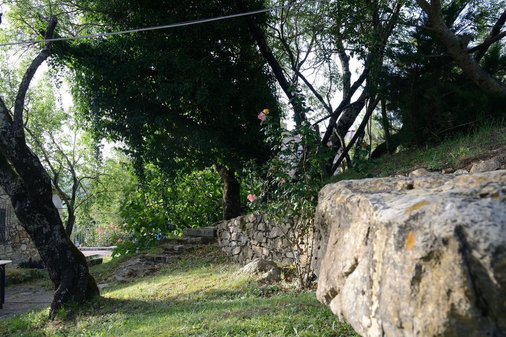 Agriturismo Le Cerinaie Castelnuovo di Val di Cecina Zewnętrze zdjęcie
