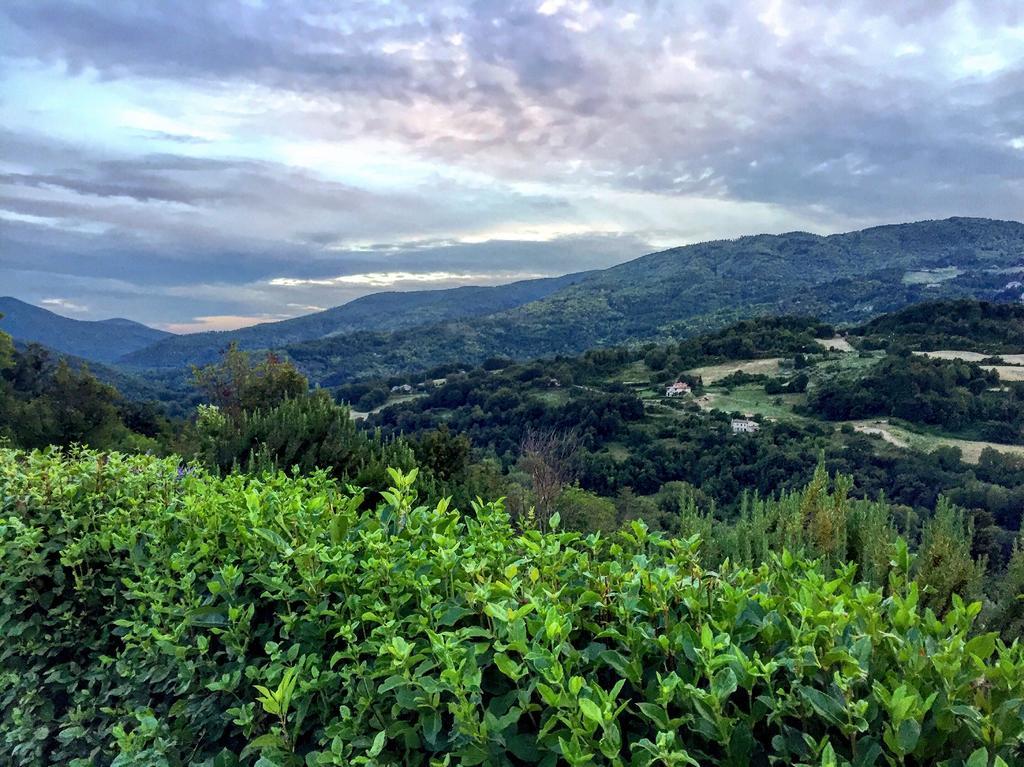 Agriturismo Le Cerinaie Castelnuovo di Val di Cecina Zewnętrze zdjęcie