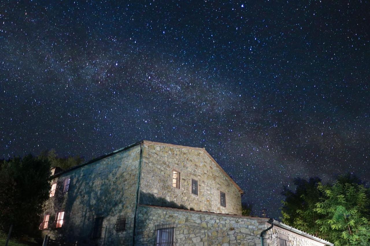 Agriturismo Le Cerinaie Castelnuovo di Val di Cecina Zewnętrze zdjęcie